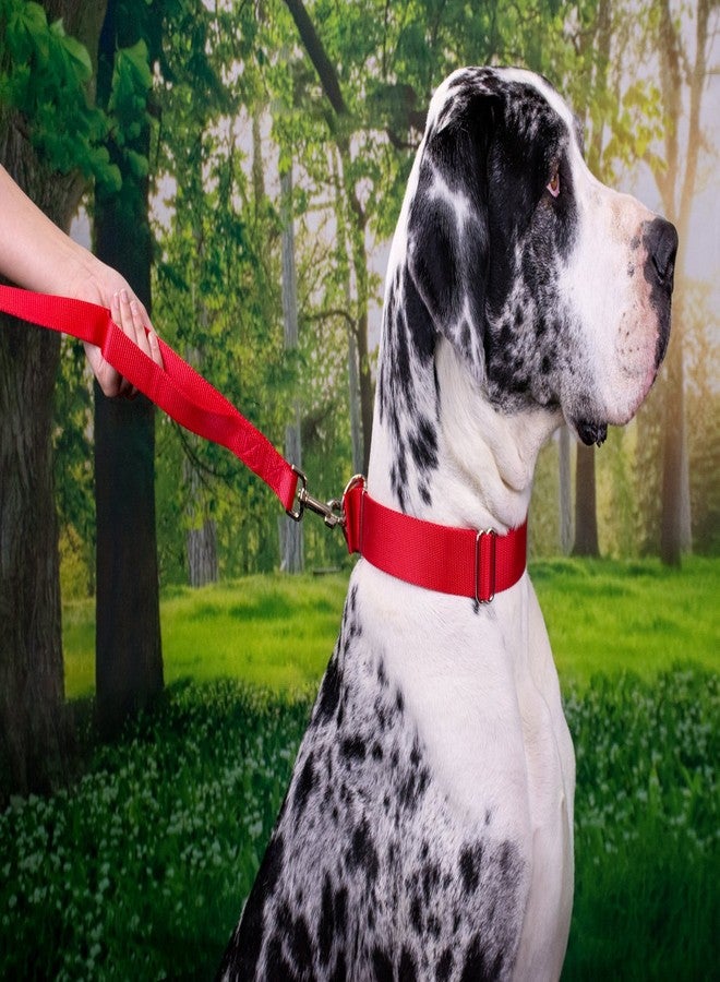 كانتري بروك ديزاين طوق كلاب من النايلون المتين من Country Brook Petz - أحمر اللون، مزود بمقود مزدوج المقبض (1 بوصة، متوسط) - Image 2